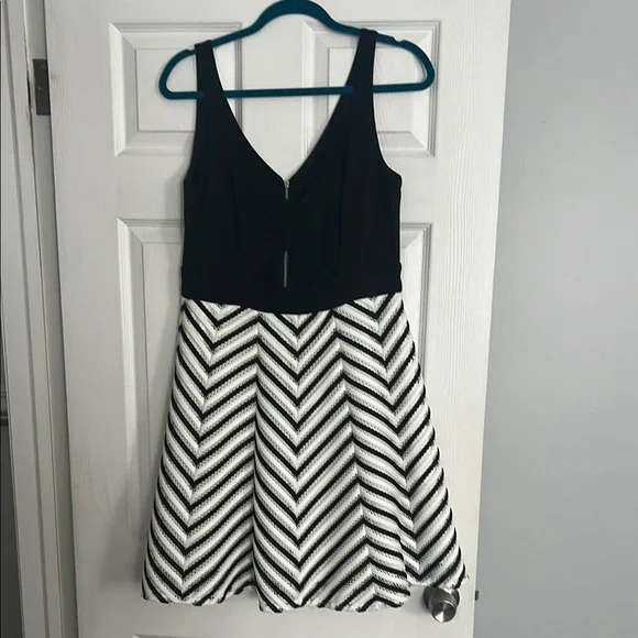 Aqua | Dresses | Aqua Black And White Aline Mini Dress | Poshmark